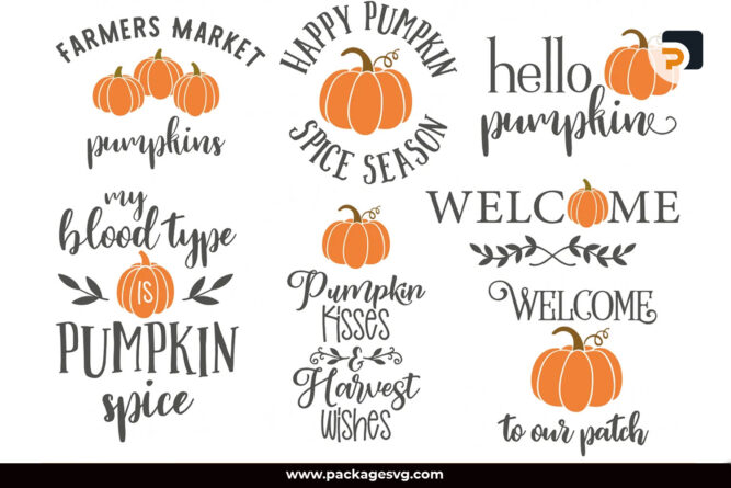 Fall Pumpkin SVG, 7 Designs SVG PNG DXF EPS JPG