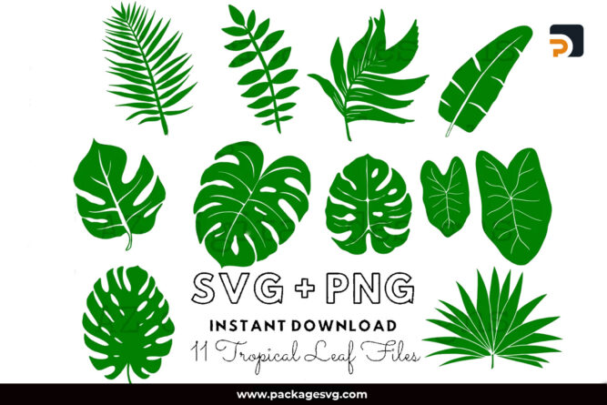 Tropical Leaves SVG Bundle, 11 Monstera Leaf Designs SVG PNG