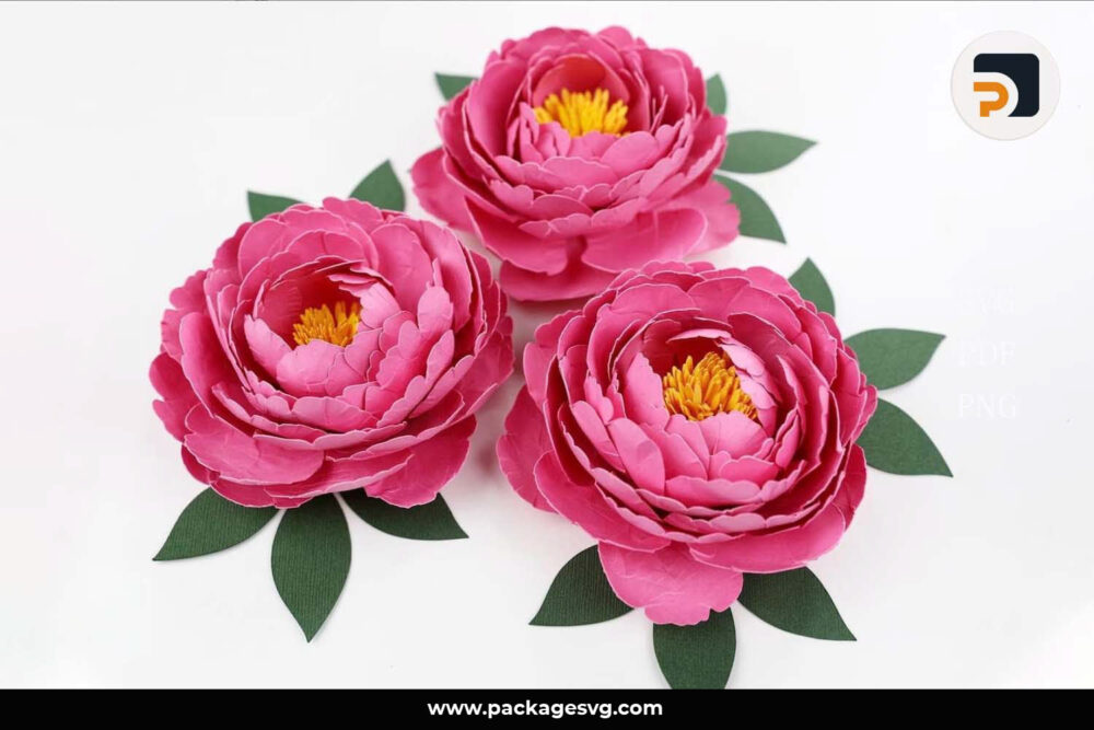 Peony Flowers Paper Template, SVG File For Cricut