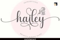 Hailey Font OTF TTF File Digital Download LCYFS7NG|||