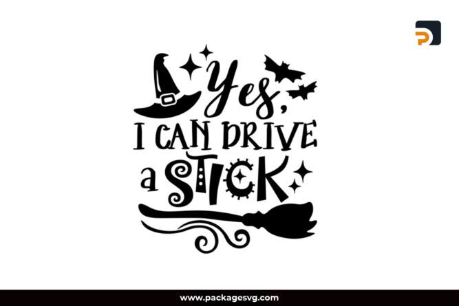 Yes I Can Drive A Stick SVG