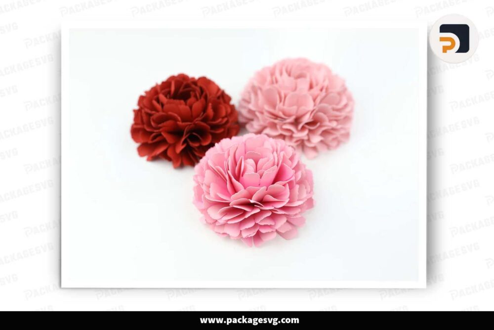 Mini Carnation Paper, Flower Template For Cricut LI8C6Q8N